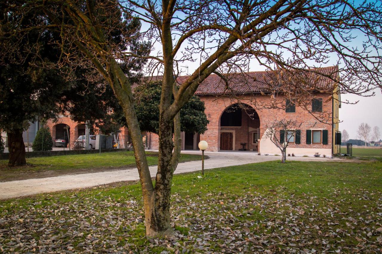 San Martino di Lupari Casa Norma Piano Terra 빌라 외부 사진